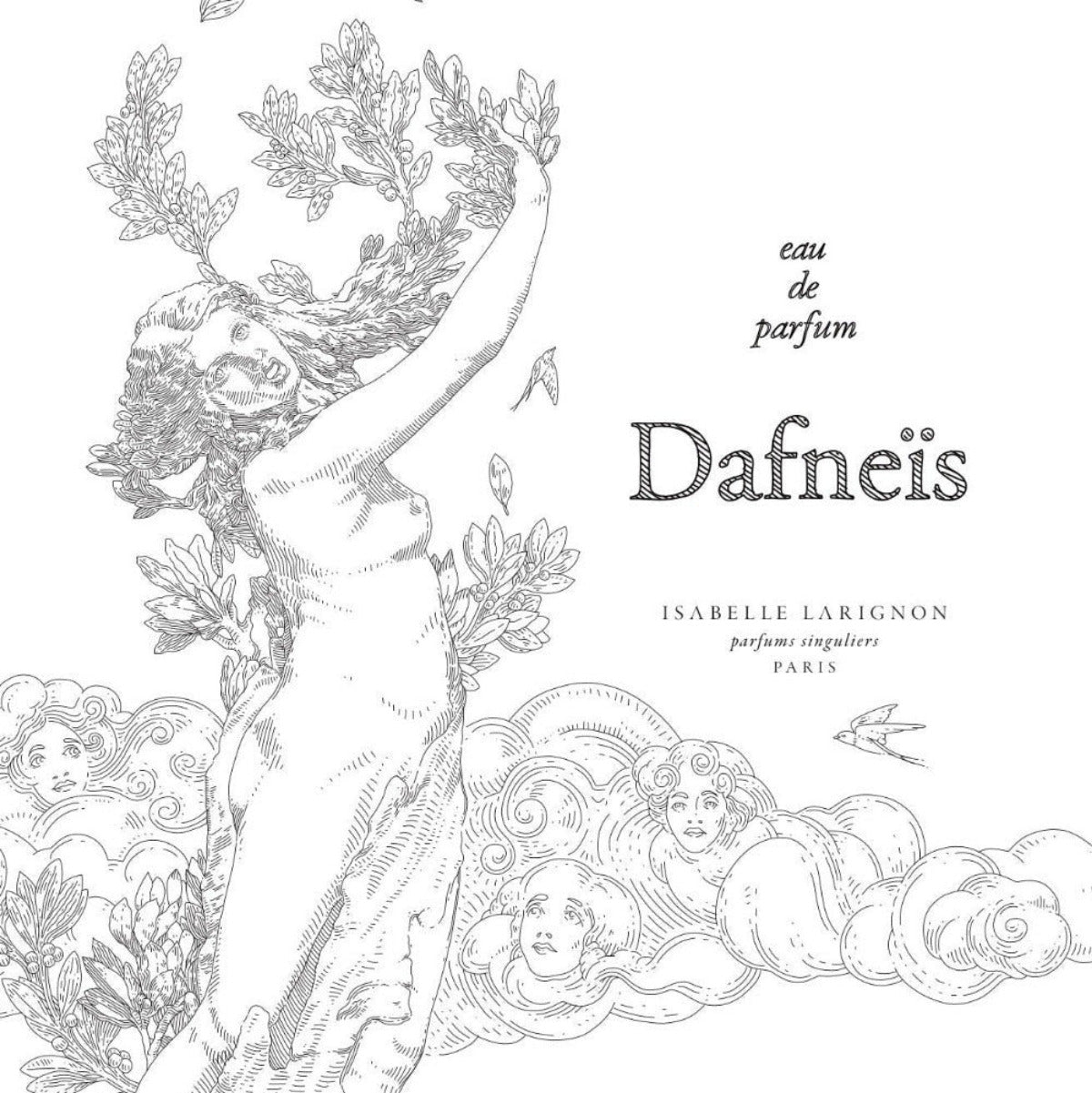 Dafneïs